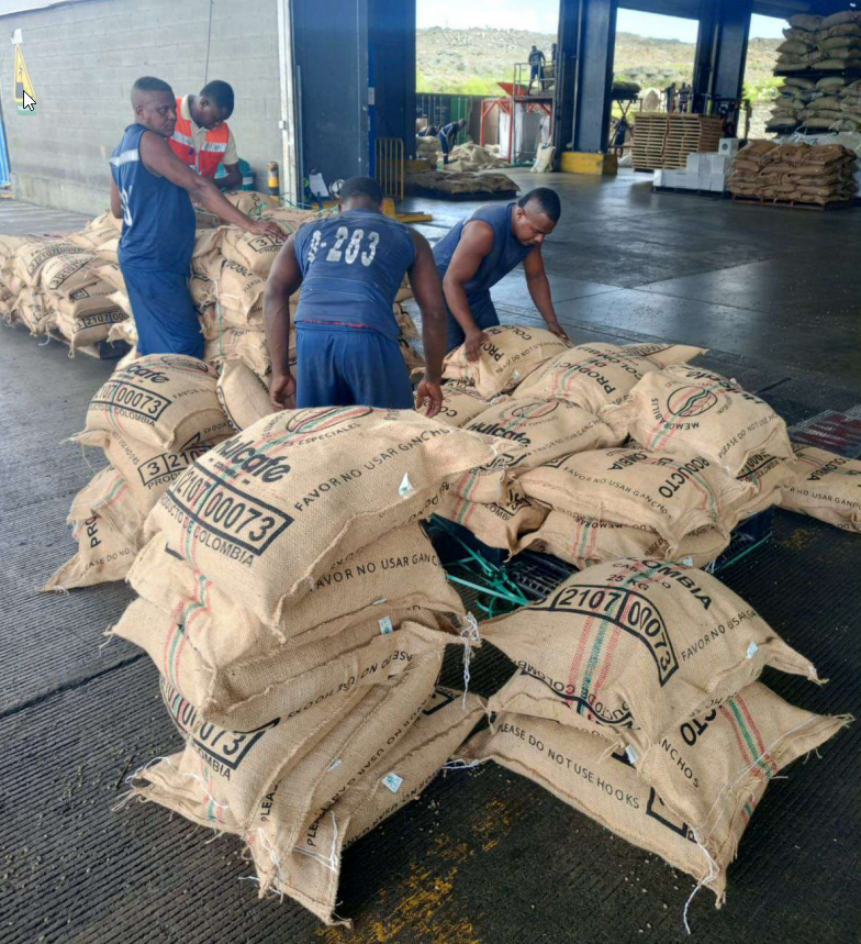 Sacos de café verde siendo estibados en bodega de origen, Colombia