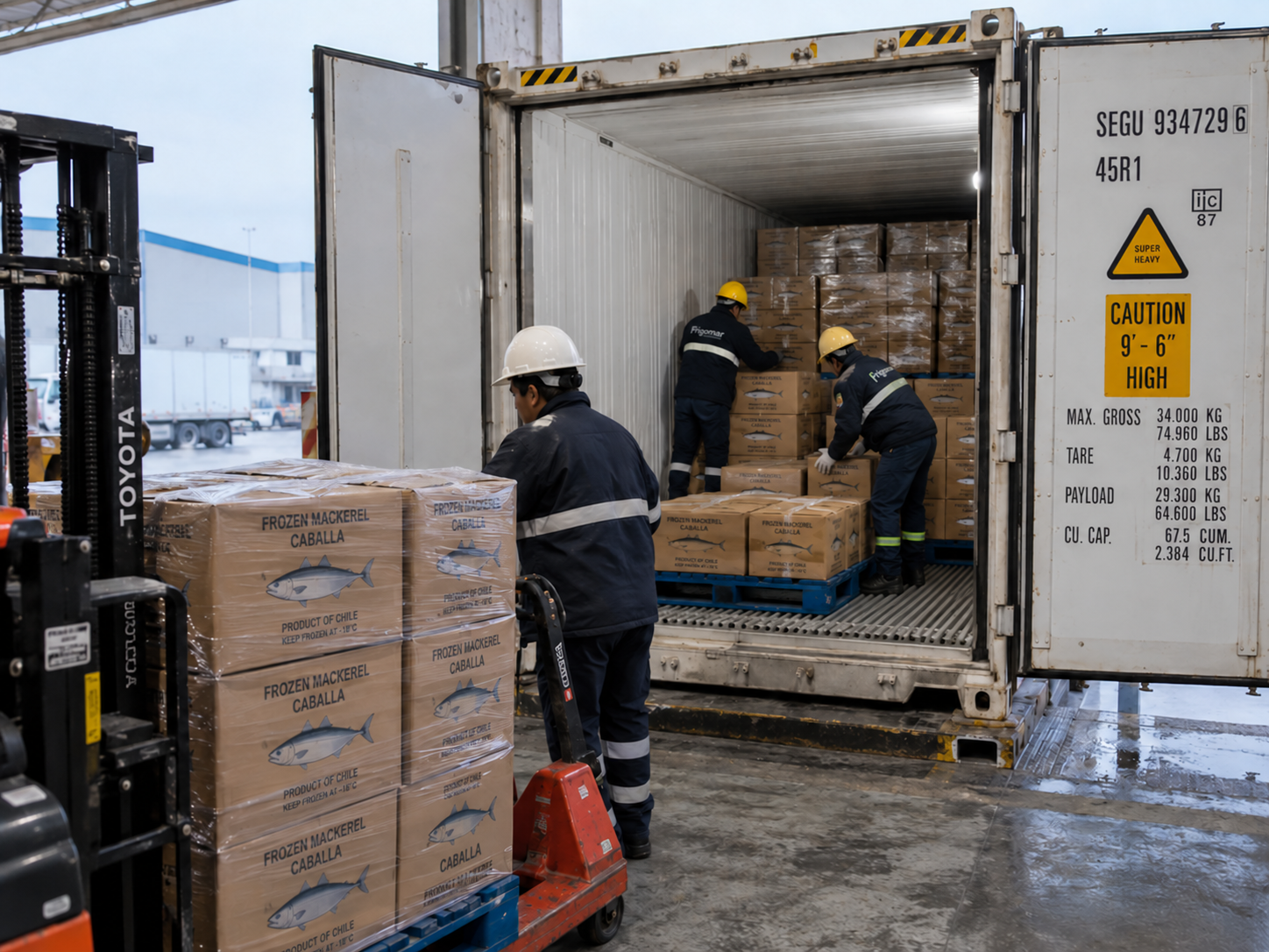 Carga de cajas de caballa congelada en un contenedor refrigerado